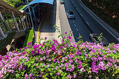 TGA 2024 ：《GTA 6》获得最受期待游戏